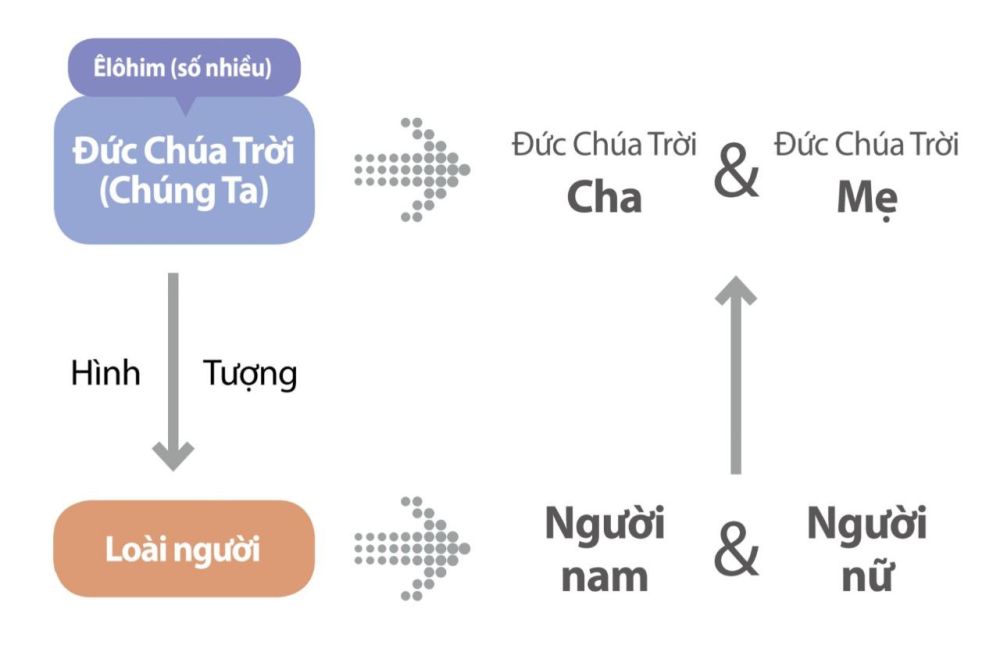 Chúng ta có thể biết về Đức Chúa Trời Êlôhim thông qua loài người đã được sáng tạo nên theo hình ảnh của Đức Chúa Trời.